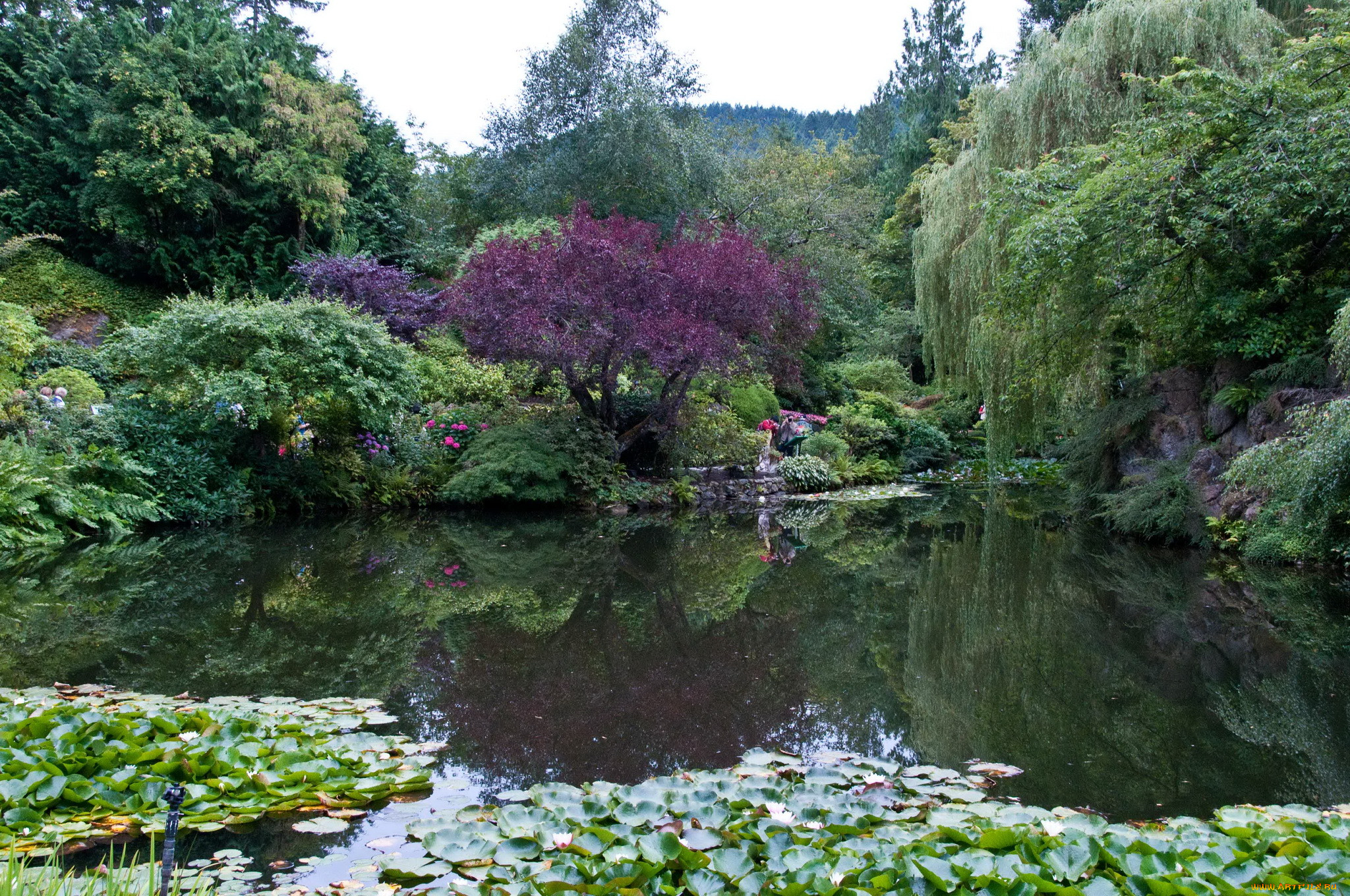 butchart, gardens, , , 
